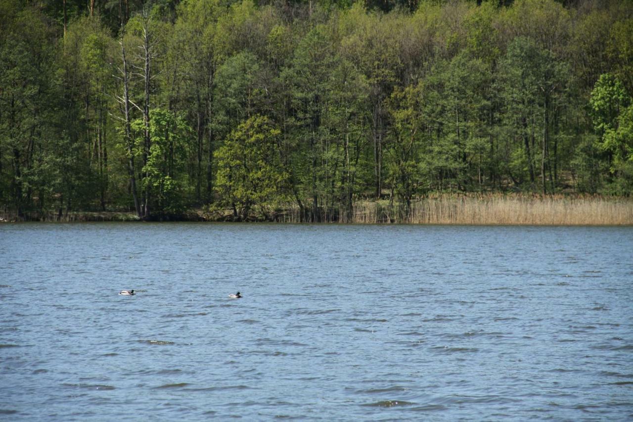 Lake View Apartamenty Brodnica  Luaran gambar